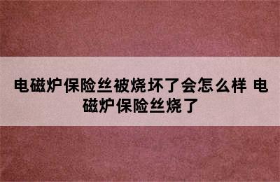 电磁炉保险丝被烧坏了会怎么样 电磁炉保险丝烧了